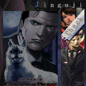 padronanza delle capacità investigative