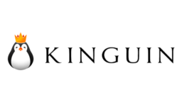 Kinguin: Riscatta il codice sconto