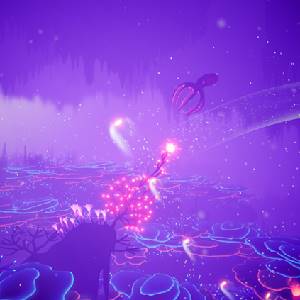 Koral - Oceano Corrente