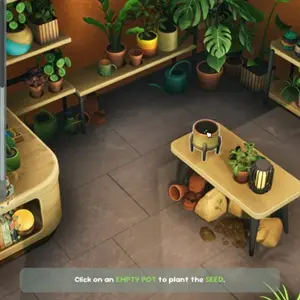 Leafy Corner - Piante