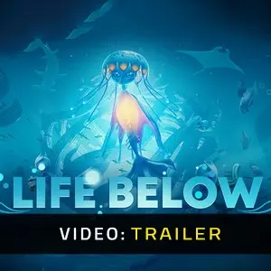 Life Below - Trailer del Video