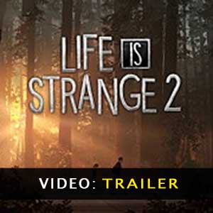 Acquistare Life is Strange 2 CD Key Confrontare Prezzi