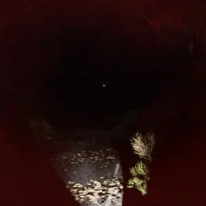 Light - Die to Survive - Strada