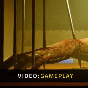 Lil Doll House - Video di Gioco