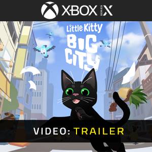 Little Kitty Big City Trailer del Video