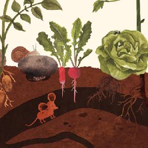 Little Mouse's Encyclopedia - Sotterraneo