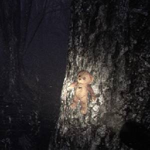 Locked Up - Orsacchiotto