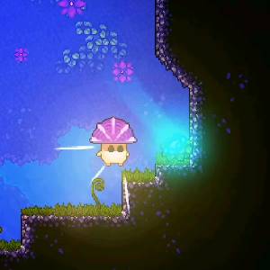 Lone Fungus - Ritorno della Contraption