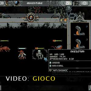 Loop Hero video di gioco