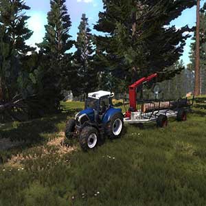 Lumberjack's Dynasty - Alberi tagliati