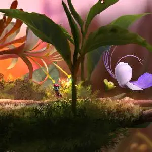 Mari and Bayu - The Road Home - Pianta