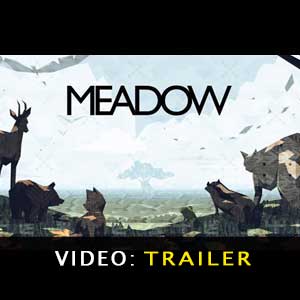 Acquista CD Key Meadow Confronta Prezzi