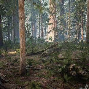 Medieval Apocalypse - Boschi