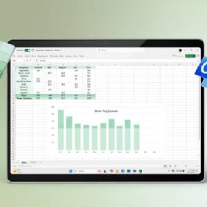 Microsoft Office Home & Business 2024 - Grafico
