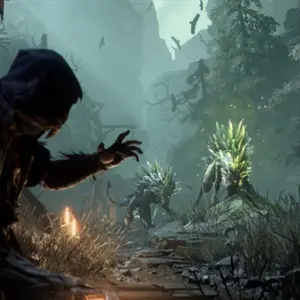 Mistfall Hunter – Stregone