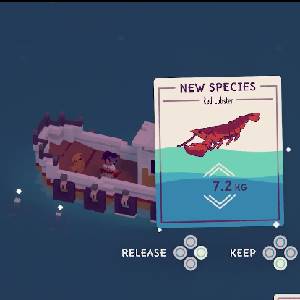 Moonglow Bay - Nuove Specie