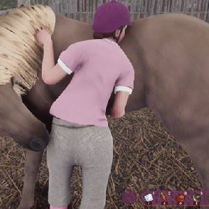 My Horse Bonded Spirits - Cavallo da Petting