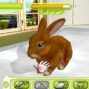 My Vet Practice - Coniglio