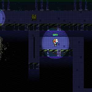 vigilante mascherato