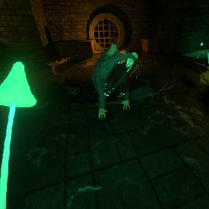 Neverlooted Dungeon - Topo