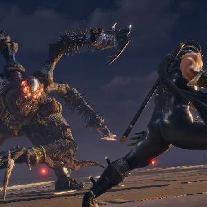 NINJA GAIDEN 2 Black Ombra Ninja Rasetsu