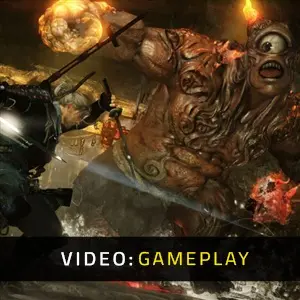 Nioh Video di Gioco