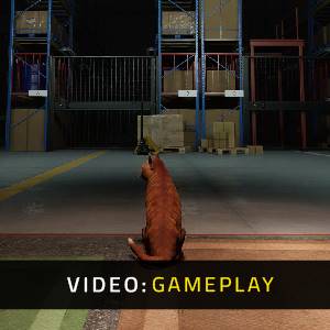 ORDER 13 - Video di Gameplay