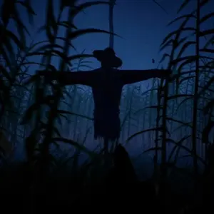 Outfield - Spaventapasseri