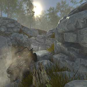 caratteristiche uniche