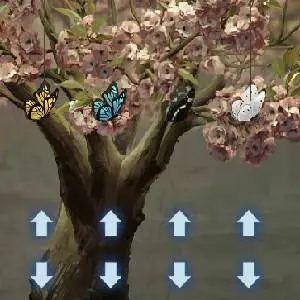 Paper Bride 5: Two Lifetimes - Farfalle