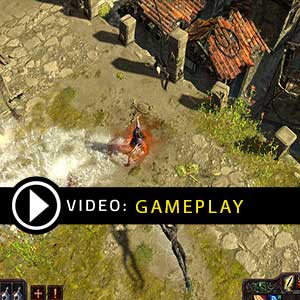 Path of Exile 500 Points GameCard Gameplay Video