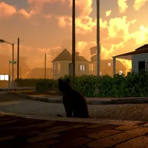 Peace Island - Strada