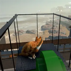 Peace Island - Gatto