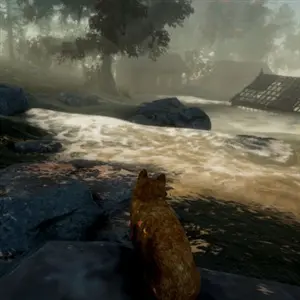 Peace Island - Paesaggio