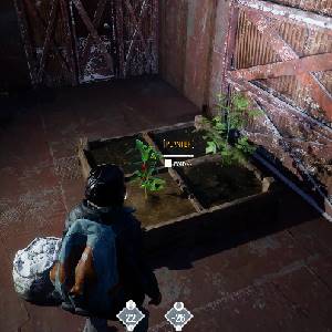 Permafrost - Piantare