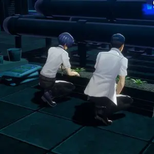 Persona 6 - Giardinaggio sul tetto