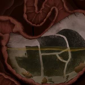 PIGROMANCE - Stomaco