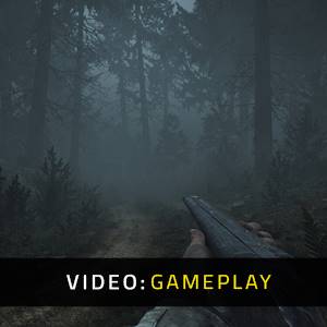 Pine Harbor - Gameplay