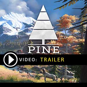 Acquistare Pine CD Key Confrontare Prezzi