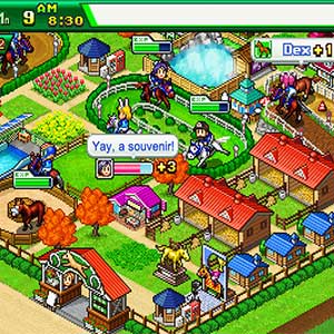 Pocket Stables - Interfaccia Utente