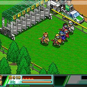 Pocket Stables - Gara di Cavalli