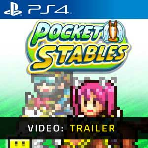 Pocket Stables Playstation 4