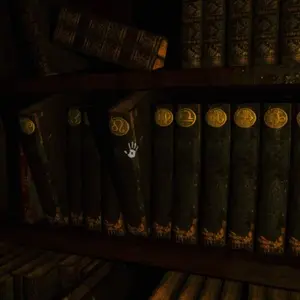 Portrait of a Torn – Libri