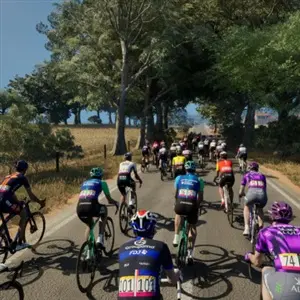Pro Cycling Manager 25 - Tunnel di alberi