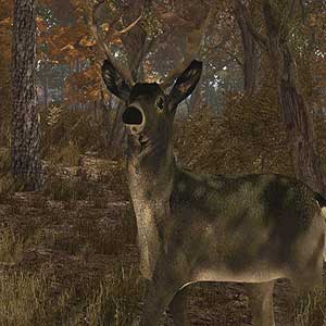 Pro Deer Hunting - Cervo