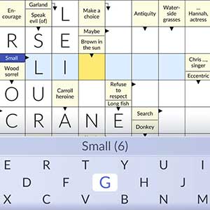 Pure Crosswords - Campi di risposta