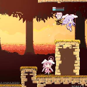 Rabi-Ribi - Obiettivo