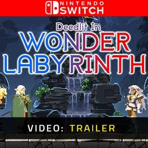 Record of Lodoss War-Deedlit in Wonder Labyrinth Switch