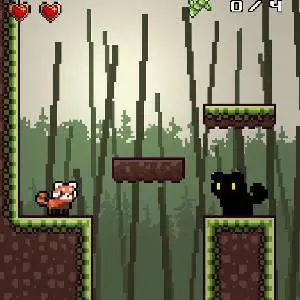 Red Panda is Hungry - Ombre