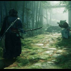 Rise of the Ronin - Foresta di Bambù
